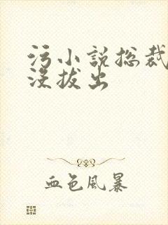 污小说总裁整夜没拔出