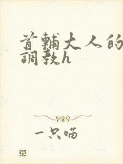 首辅大人的花式调教h