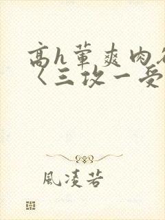 高h荤爽肉欲文〈三攻一受