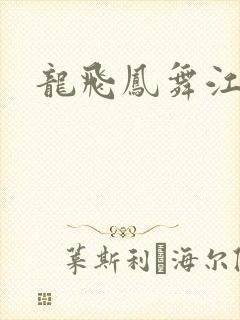 龙飞凤舞江一龙
