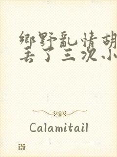 乡野乱情胡秀英丢了三次小说