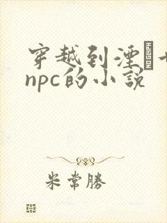 穿越到湮婸世界npc的小说