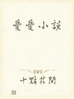 爱爱小说