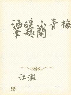 酒酿小青梅po笔趣阁