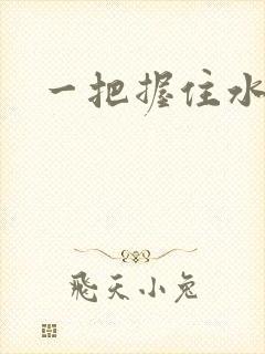 一把握住水蜜桃