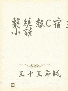 系统想C宿主的小说