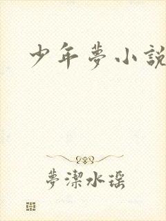 少年梦小说
