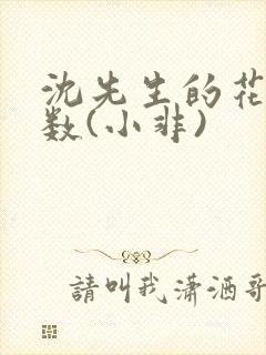 沈先生的花式调数(小非)