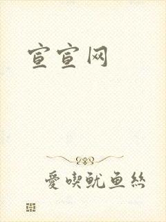 宣宣网