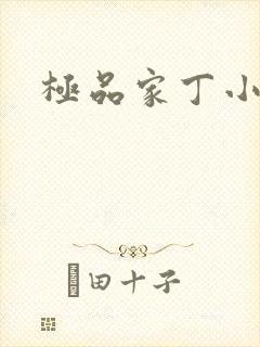 极品家丁小说