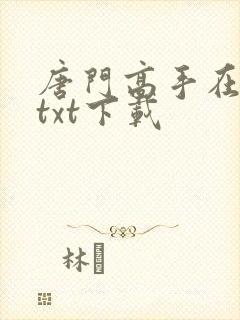 唐门高手在异世txt下载