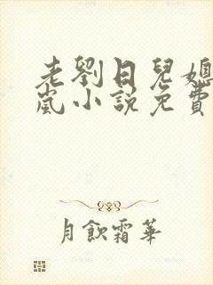 老刘日儿媳妇张岚小说免费阅读