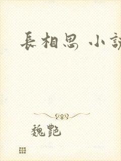长相思 小说
