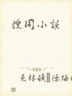 搜同小说