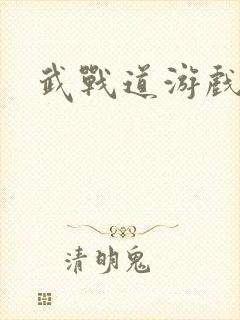 武战道游戏
