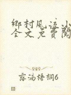 乡村风流小傻子全文免费阅读