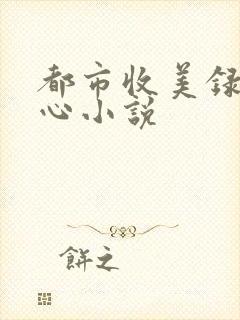 都市收美录宁素心小说