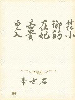 皇帝在御花园进入贵妃的小说