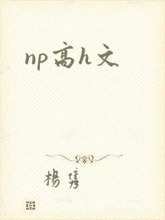 np高h文