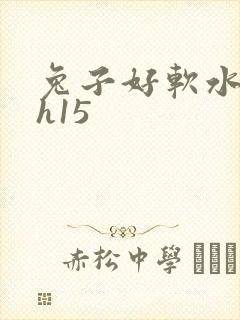 兔子好软水好多h15