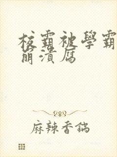 校霸被学霸玩到崩溃腐