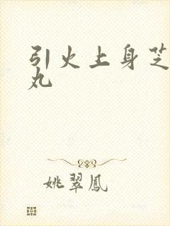 引火上身芝麻糖丸