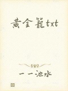 黄金笼txt