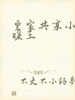 皇家共享小公主暖玉