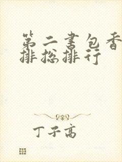 第二书包香辣肉排总排行