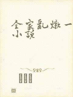 全家乱炖一锅烩小说