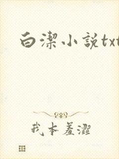 白洁小说txt