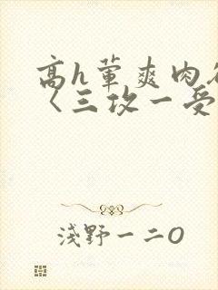 高h荤爽肉欲文〈三攻一受