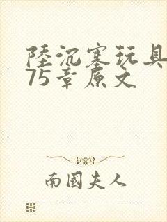 陆沉塞玩具高速75章原文