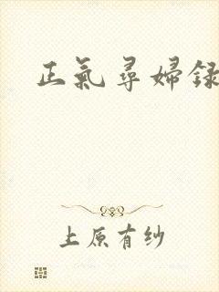 正气寻妇录