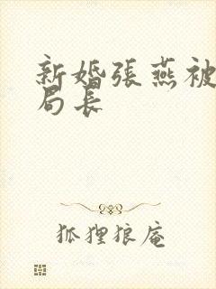 新婚张燕被两个局长