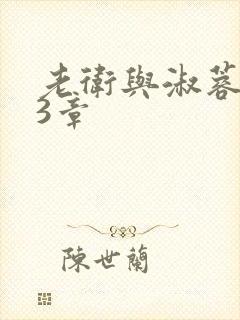 老卫与淑蓉第13章