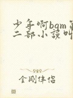 少年啊bgm第二部小说叫什么