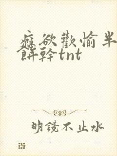 瘾欲欢愉半块小饼干tnt