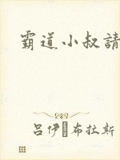 霸道小叔请轻撩