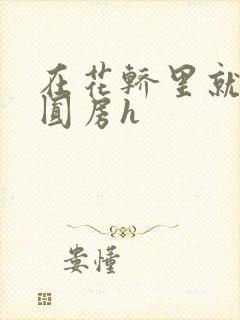 在花轿里就开始圆房h