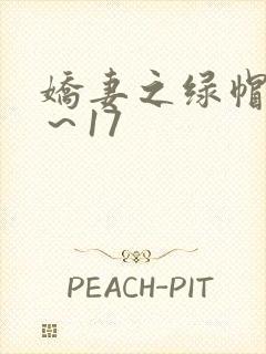 娇妻之绿帽癖1～17