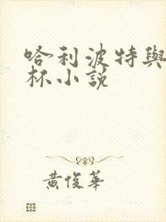 哈利波特与火焰杯小说