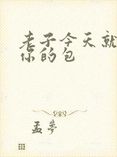 老子今天就要开你的包