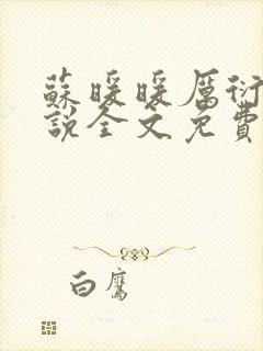 苏暖暖厉衍琛小说全文免费阅读