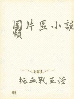 图片区小说区视频