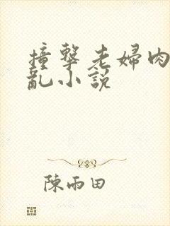 撞击老妇肉体之乱小说