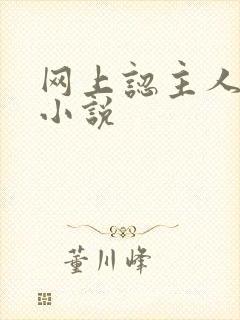 网上认主人调教小说