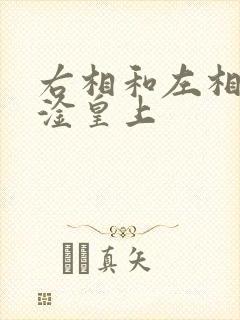 右相和左相一起淦皇上