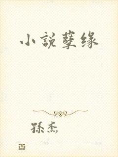 小说孽缘