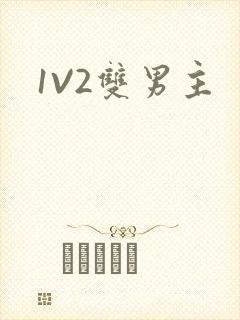 1V2双男主
